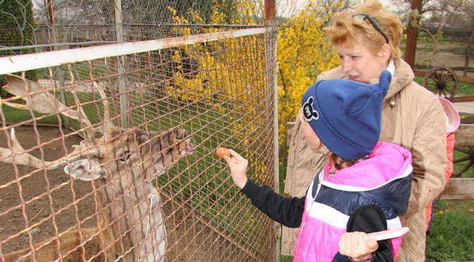 Дивовижний тваринний світ